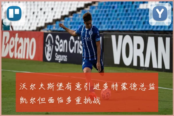 沃尔夫斯堡有意引进多特蒙德总监凯尔但面临多重挑战