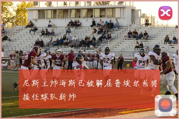 尼斯主帅海斯已被解雇普埃尔或将接任球队新帅