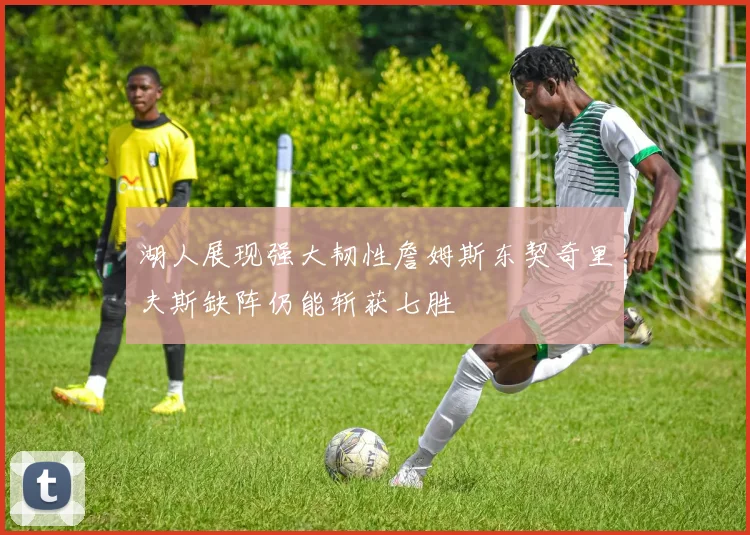 湖人展现强大韧性詹姆斯东契奇里夫斯缺阵仍能斩获七胜