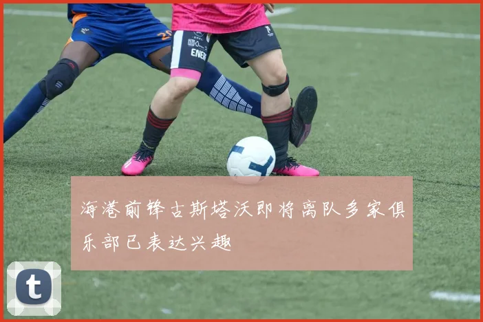 海港前锋古斯塔沃即将离队多家俱乐部已表达兴趣