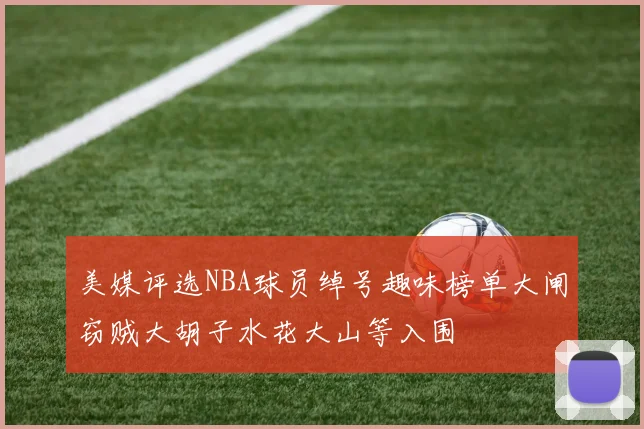 美媒评选NBA球员绰号趣味榜单大闸窃贼大胡子水花大山等入围