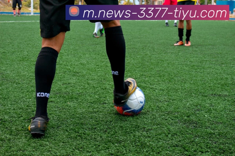 3377体育APP 封面图